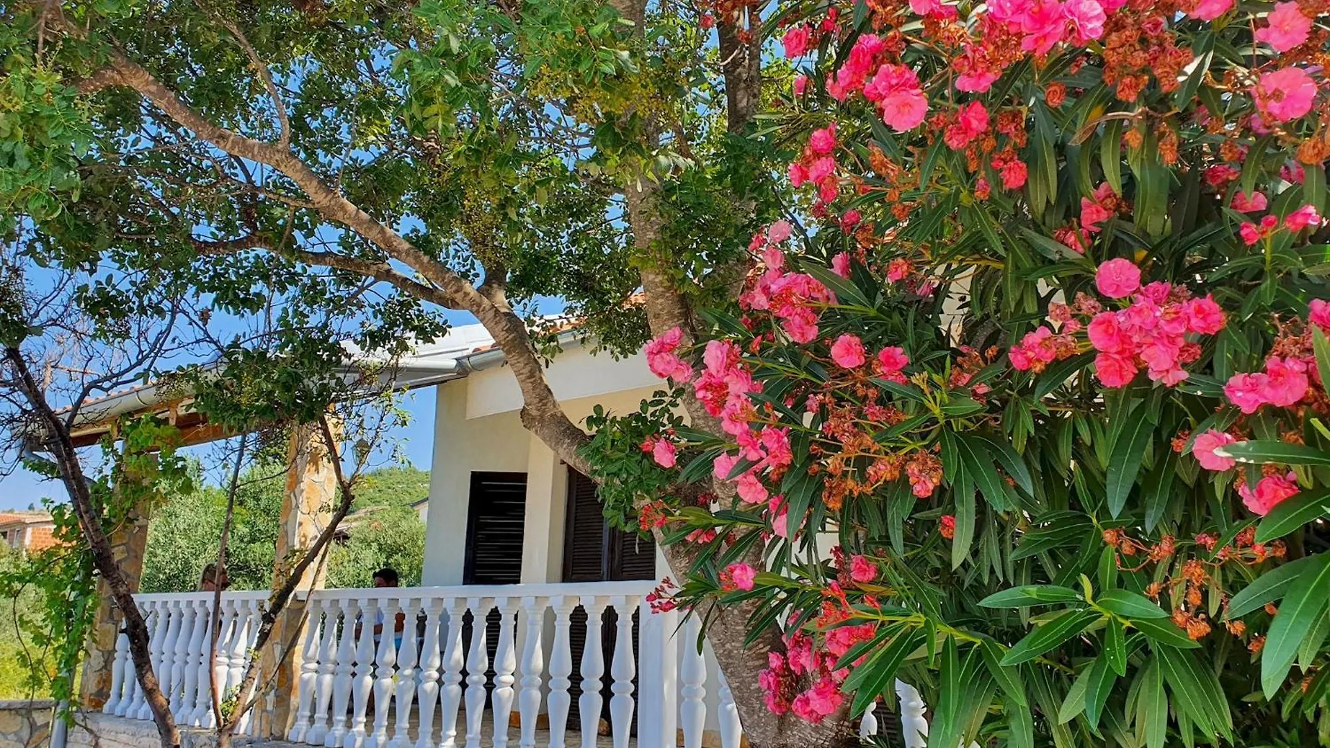 Wonderful Vacation Home On The Lake Front Krusevo